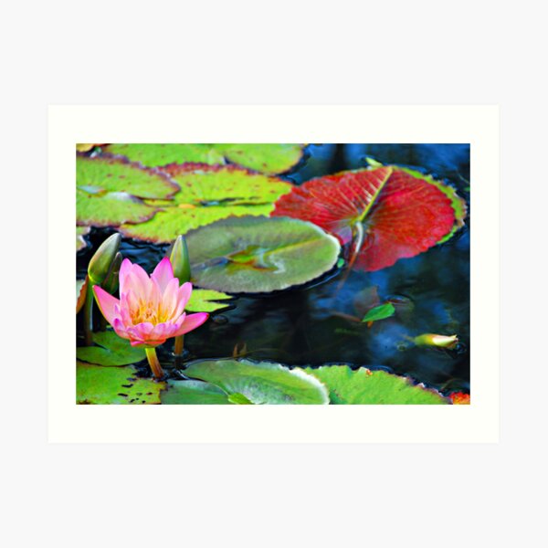 PINK~In memoriam for Marge who loved life ...and pink Art Print