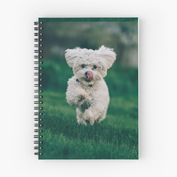 Item preview, Running happy white maltese dog designed and sold by DelightfulArts.