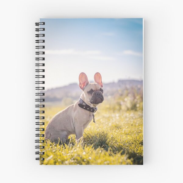 Item preview, Grumpy looking bulldog in the grass designed and sold by DelightfulArts.