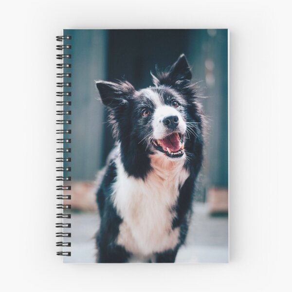 Item preview, Happy white and black Border Collie designed and sold by DelightfulArts.