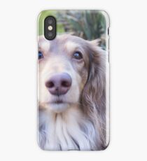 Teddie Boy iPhone Case