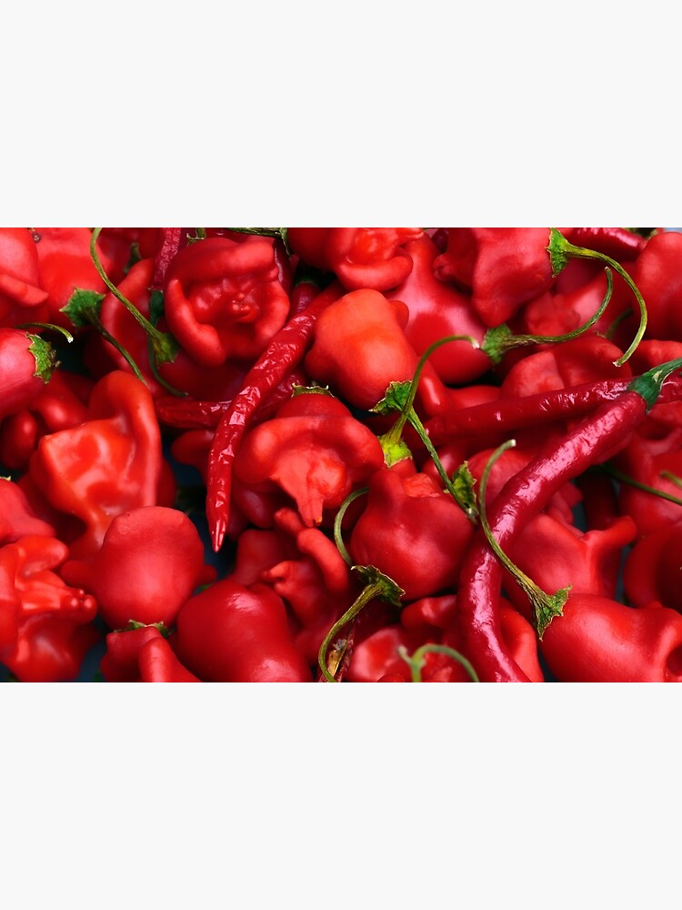 Bell pepper by fardad