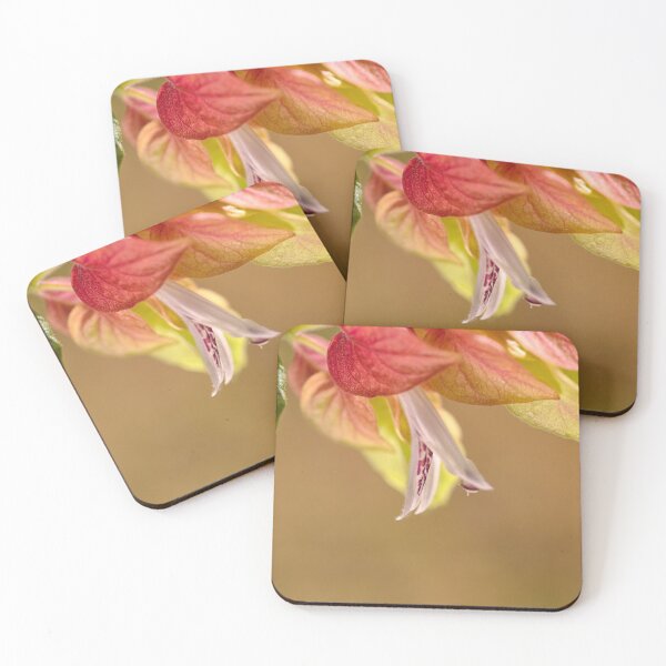 Item preview, Shrimp Plant Flowering designed and sold by Joy Watson - Natural Light Photography .