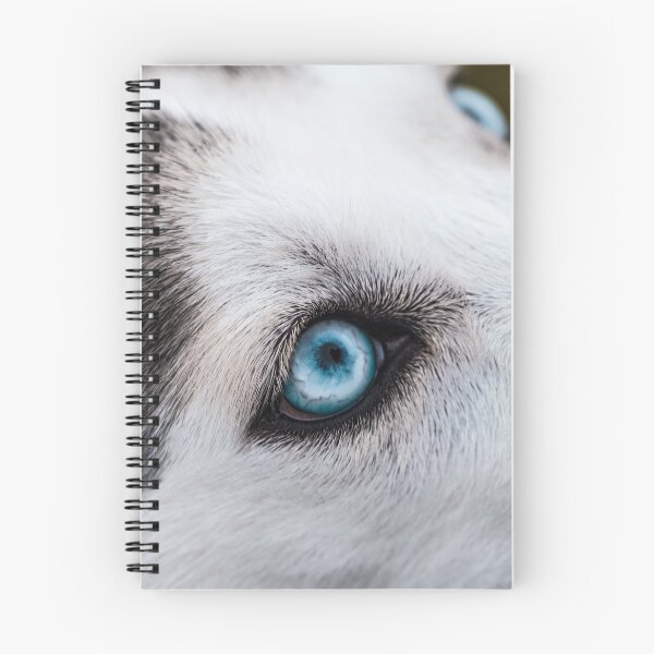 Item preview, Scary blue-eyed husky closeup designed and sold by DelightfulArts.