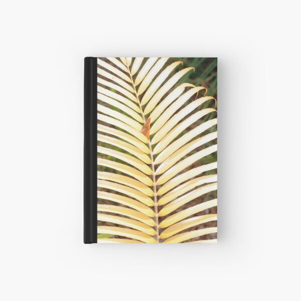 Zamia standleyi Hardcover Journal