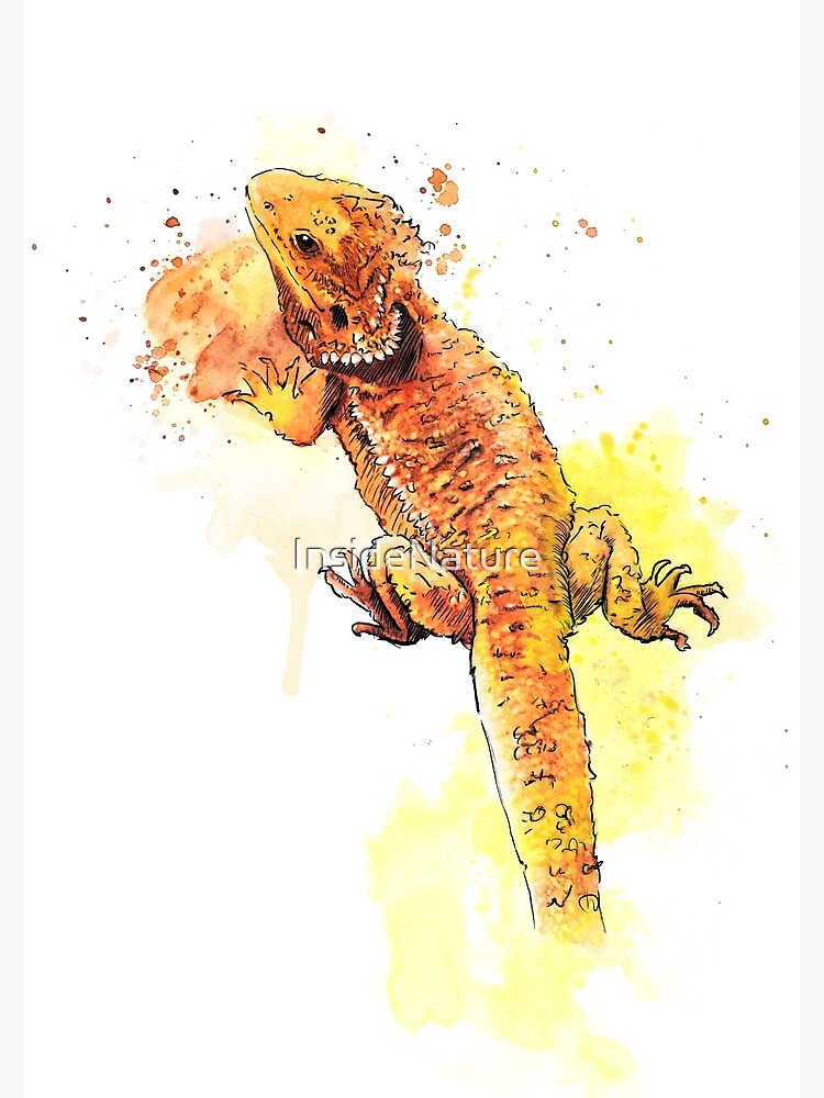 "Bearded Dragon Colourful Watercolour" Art Print for Sale by