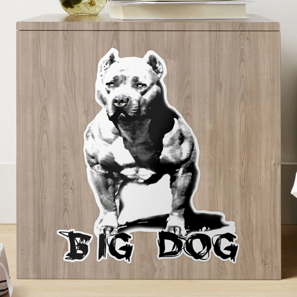 Pitbull big hot sale dog