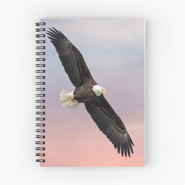 Item preview, Bald Eagle With The Sunrise 2019-1 designed and sold by Thomasyoung.