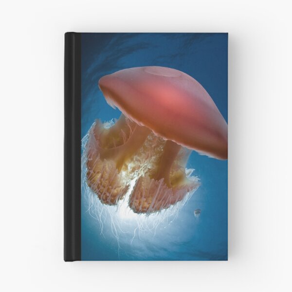 Artikelvorschau, Rocket Jelly entworfen und verkauft von Ross Gudgeon.