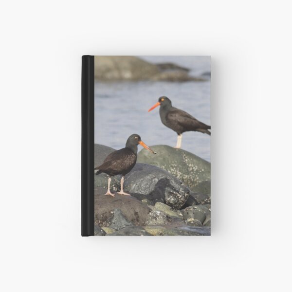 Black Oystercatchers Hardcover Journal
