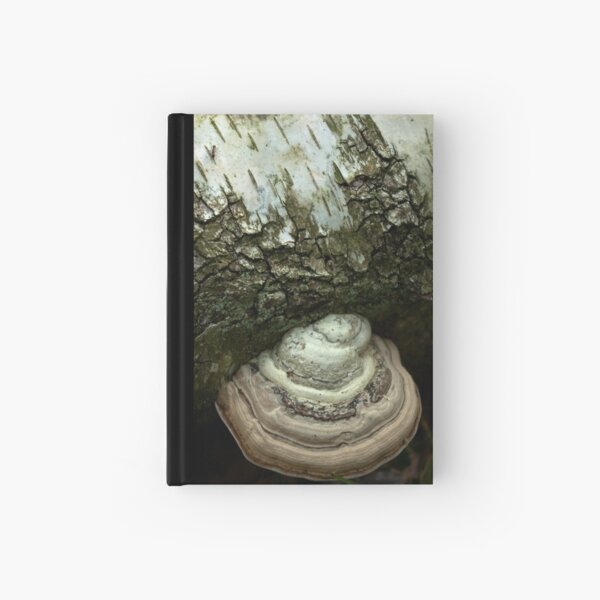 Birch and bracket fungi Hardcover Journal