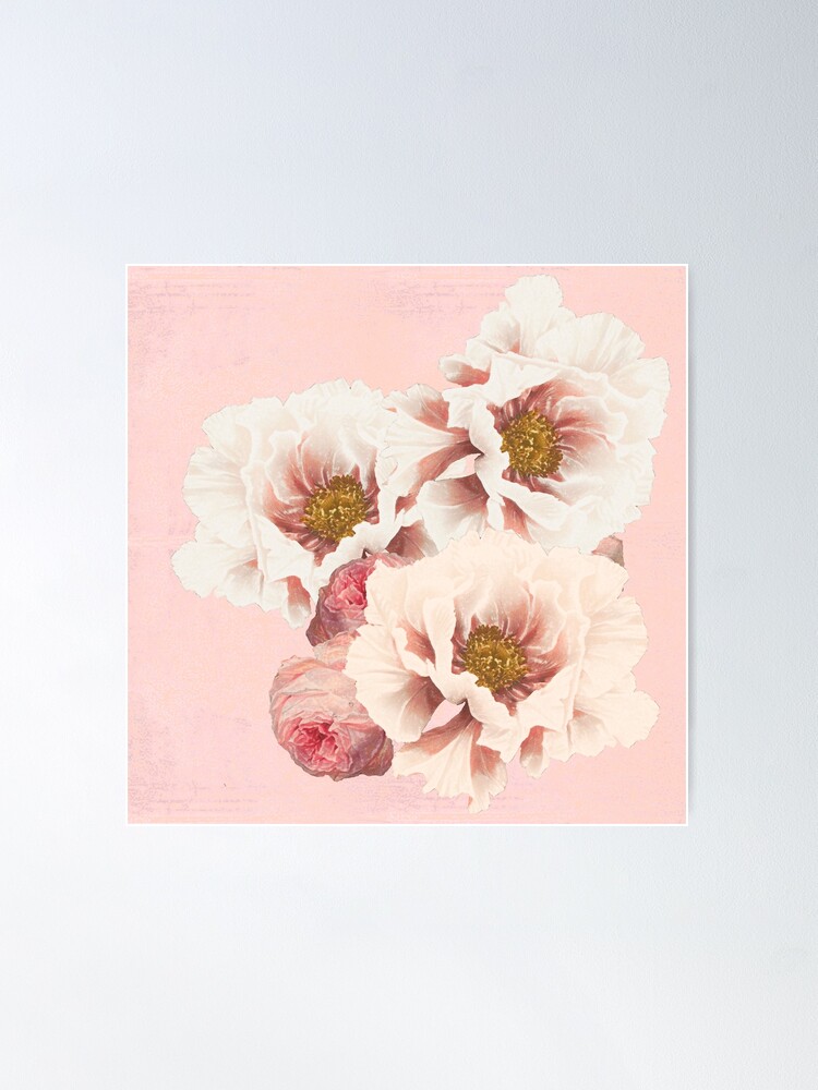 Alternate view of Peonies and Roses Poster