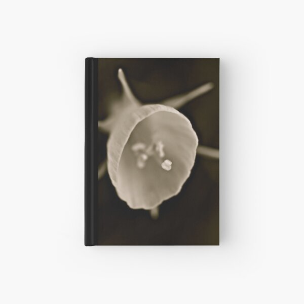 Odd Narcissus Hardcover Journal