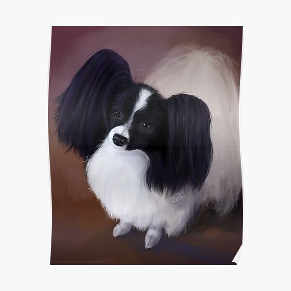 Tri Color Papillon Portrait Sky | Tote Bag