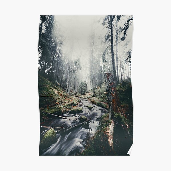 Foggy Feelings Poster