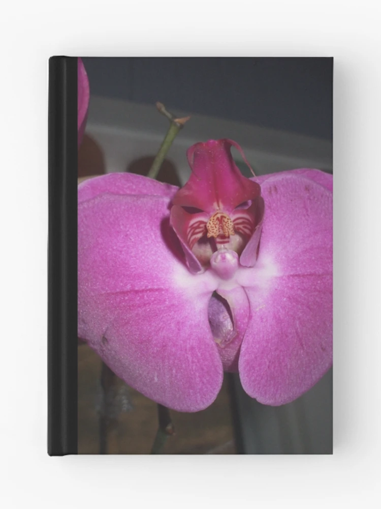 Thumbnail 1 of 3, Journal, Orchid face designed and sold by Ravred.