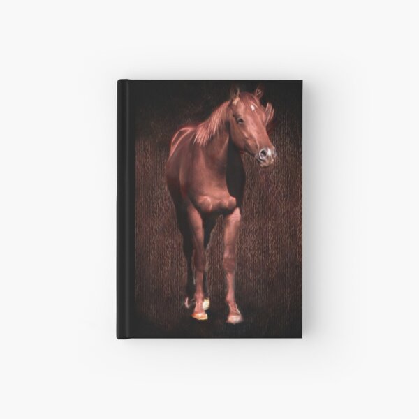 SecretRock Hardcover Journal