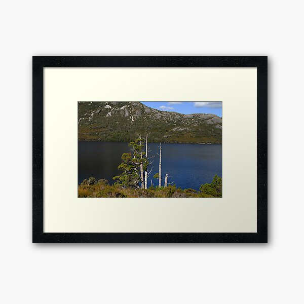 Item preview, Pencil Pines... Dove Lake. designed and sold by Richard  Stanley.