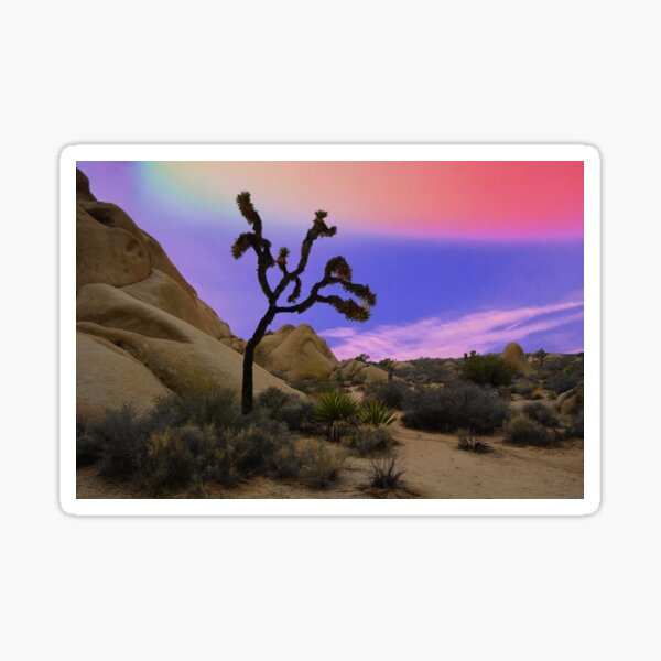 Joshua Tree Sunset: The Remix Sticker