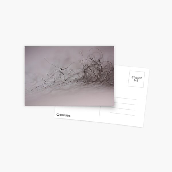 hair Postcard