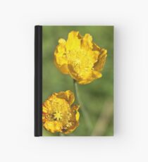 Passenger Hardcover Journal