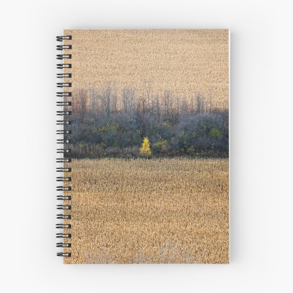 Item preview, Lone Tree in the Fall designed and sold by jsachs99.