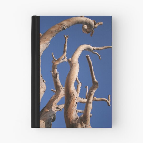 Item preview, Twisted Trees designed and sold by ChrisSinn.