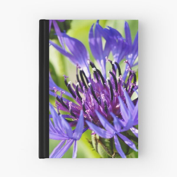 Item preview, Corn Flower 3 designed and sold by Edward Myers.