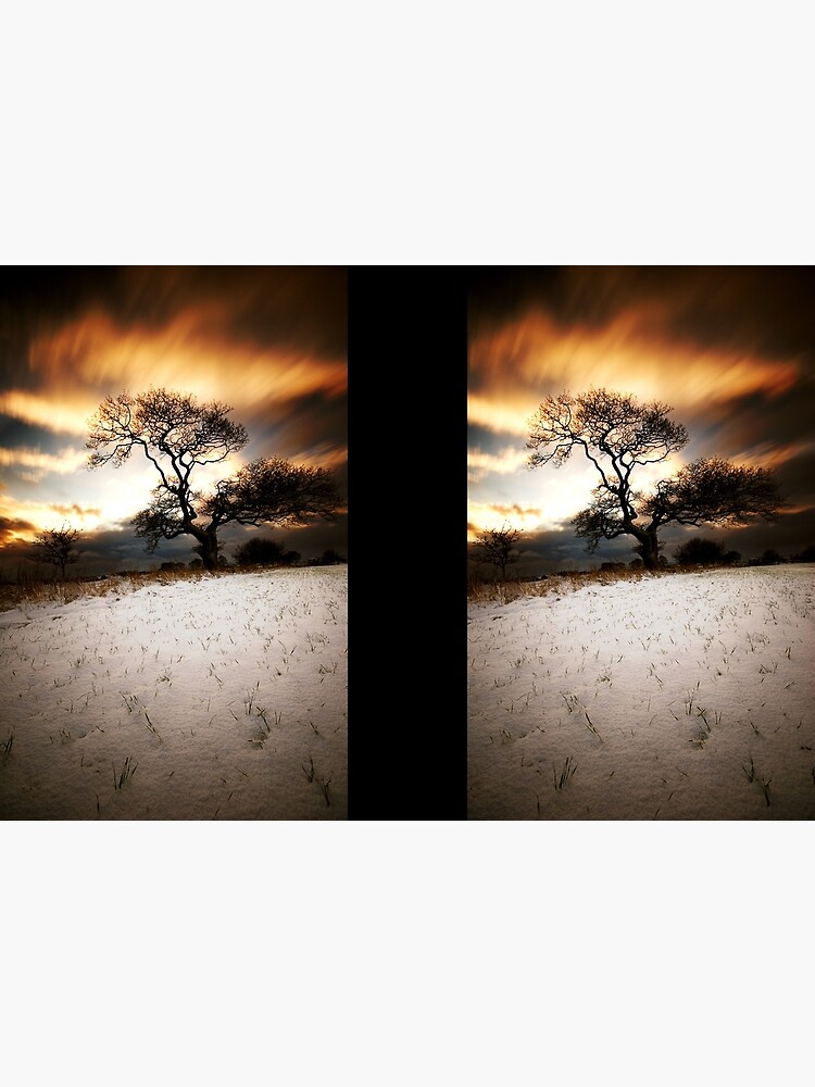 Magical tree by tontoshorse