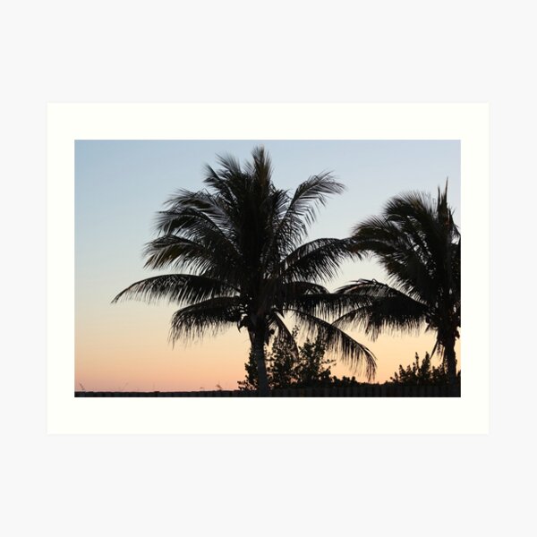 Through the Shadows Art Print