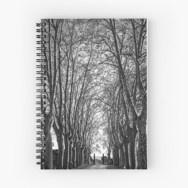 Item preview, The Path designed and sold by jude walton.