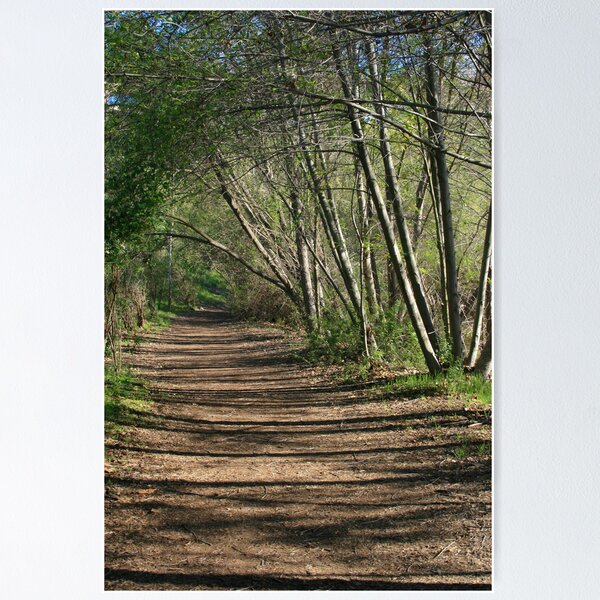 Artikelvorschau, morning trail entworfen und verkauft von Karol Franks.