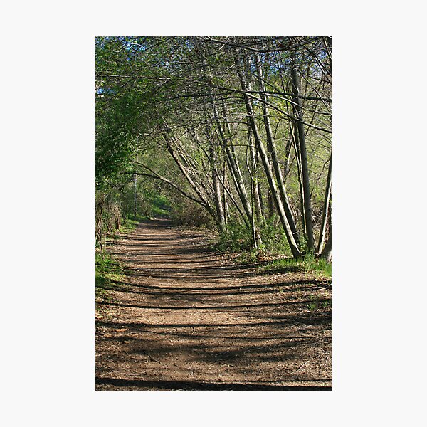Item preview, morning trail designed and sold by Karol Franks.