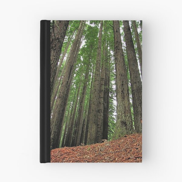 Item preview, Otway's Redwoods  designed and sold by Stephen Ruane.