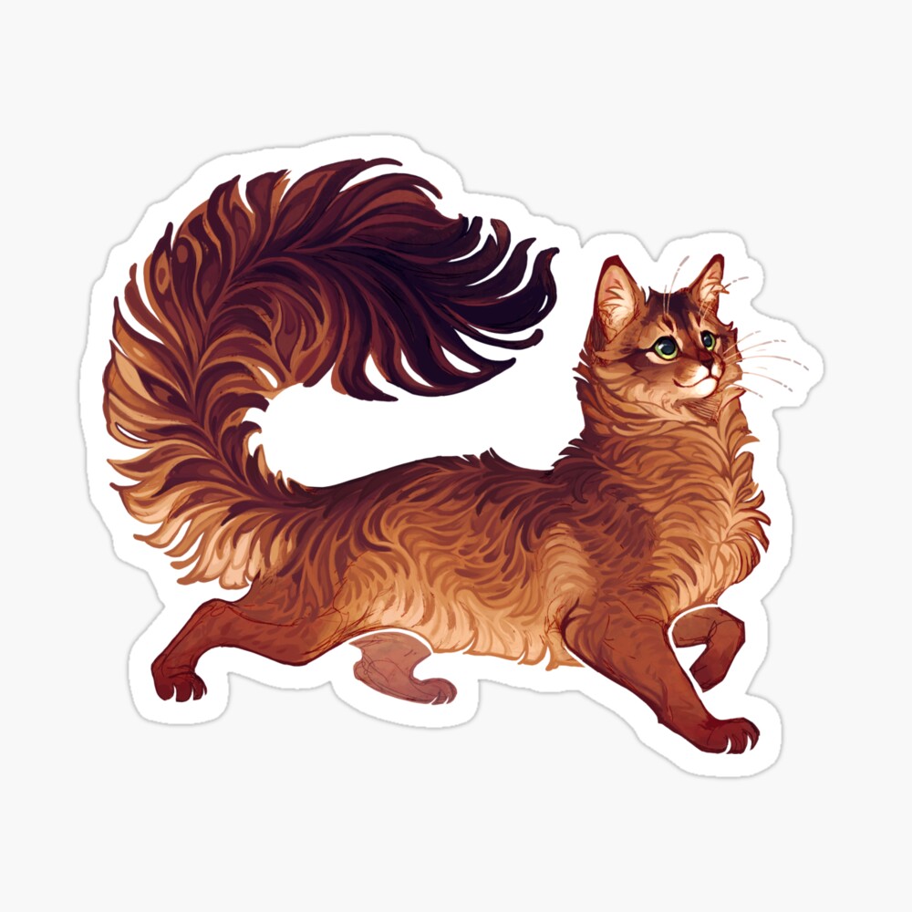 Somali Cat Stock Illustrations, Cliparts and Royalty Free Somali