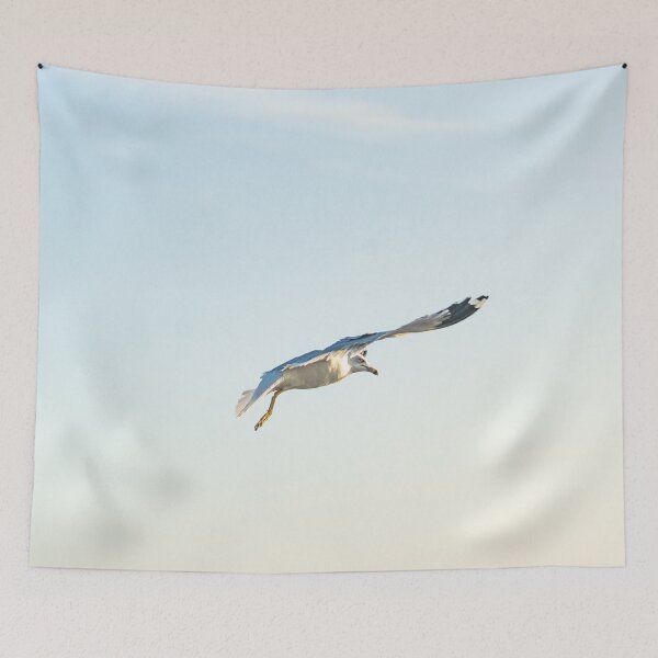 Item preview, Hovering Larus Californicus 3 designed and sold by KensLensDesigns.