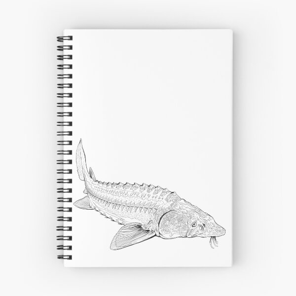 Item preview, White sturgeon designed and sold by InkFish Art.