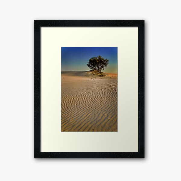 Item preview, Lone Trees at Stockton designed and sold by Dianne English.