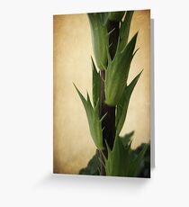 Reaching for the Sky Greeting Card