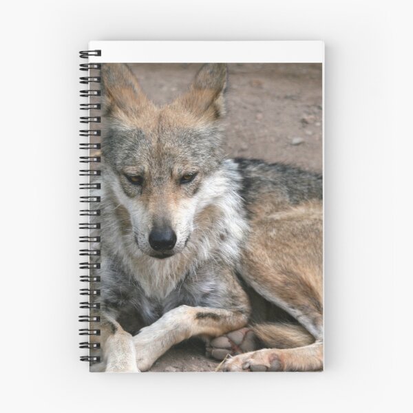 Item preview, Fierce Lobo...  Wolf... designed and sold by RichImage.