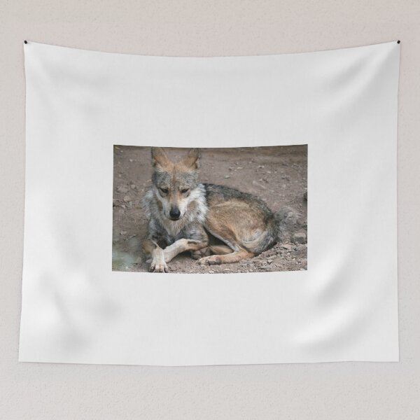 Item preview, Fierce Lobo...  Wolf... designed and sold by RichImage.
