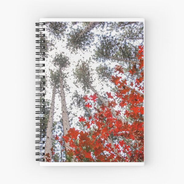Item preview, Fall Foliage and Pines designed and sold by jsachs99.