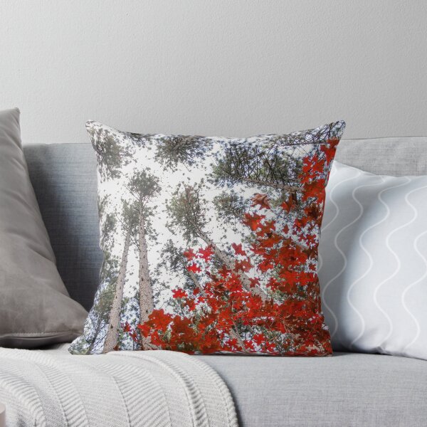 Item preview, Fall Foliage and Pines designed and sold by jsachs99.