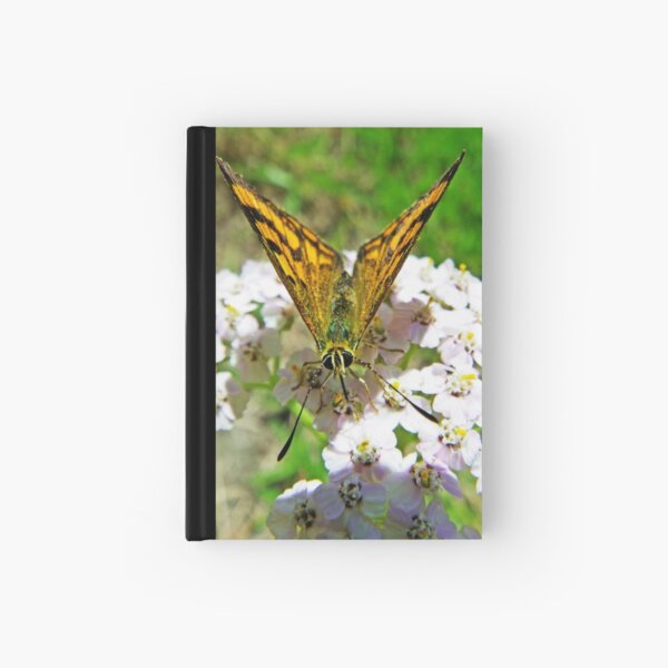 A Dream Unfolding Hardcover Journal