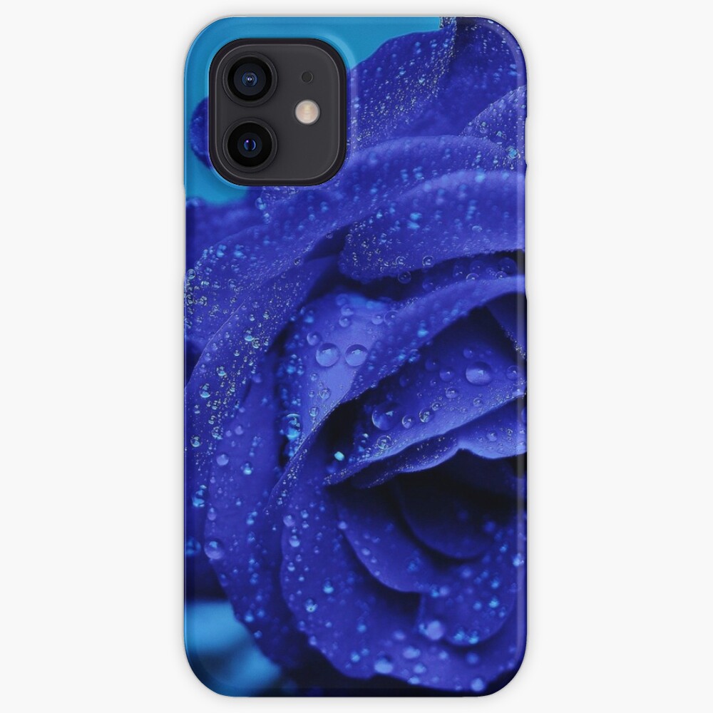 Blaue Rose Mit Regentropfen Galeriedruck Von Nesdesign Redbubble