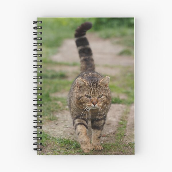 Item preview, A Serious Opponent designed and sold by Irina777.