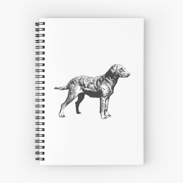 Item preview, Chesapeake Bay Retriever designed and sold by dogemporium.