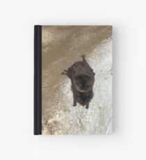 Bat Hardcover Journal