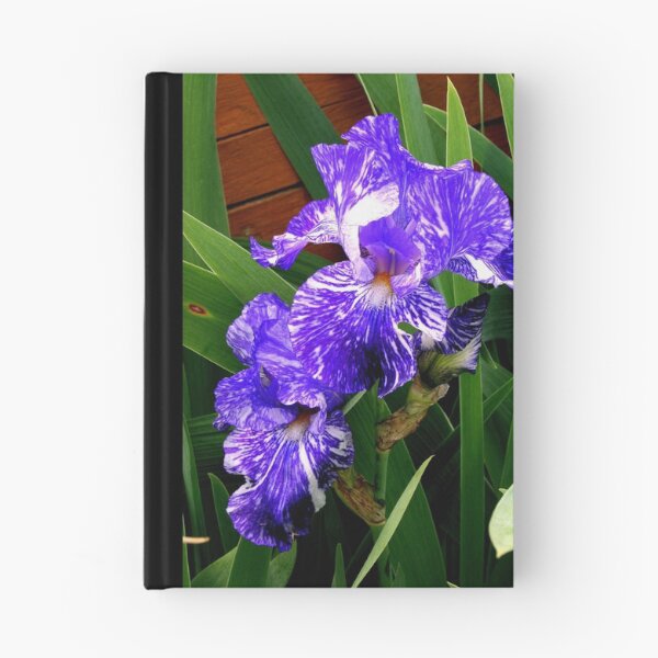 Item preview, Multi-colored Iris designed and sold by kkphoto1.