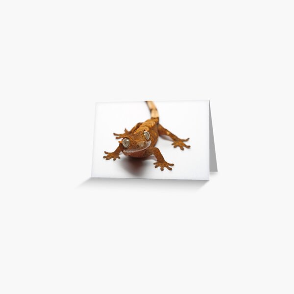 gecko Greeting Card